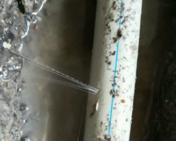 虹口卫生间测漏水多少钱