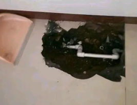 虹口卫生间测漏水多少钱